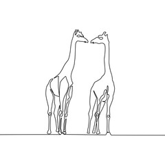 Continuous line giraffe couple. Vector giraffe isolated on white background.