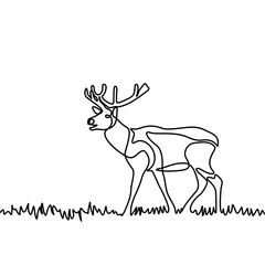 Continuous line elk standing in the grass or meadow. Vector illustration.