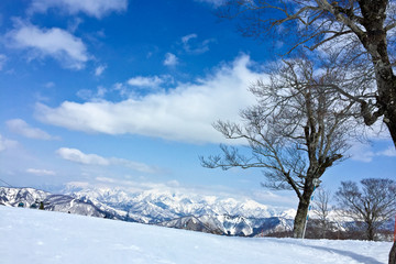 みつまたかぐらスキー場からの雪山