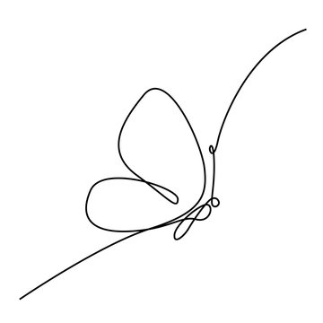 Continuous one line Butterfly, Vector illustration.