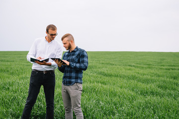 Two farmer standing in a wheat field and looking at tablet, they are examining corp. Young handsome agronomist. Agribusiness concept. agricultural engineer standing in a wheat field