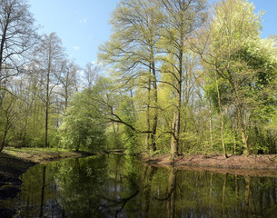 Obraz premium in der jungfernheide