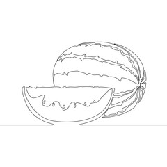 Continuous one line Watermelon or melon. Vector illustration.
