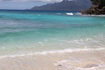 food halloween beach animals gourmet wedding