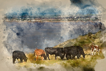 watercolor painting of Landscape image of cows with Weston-Super-Mare in distant background