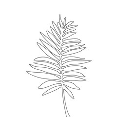 Continuous one line drawing areca palm leaf, exotic tropical plant