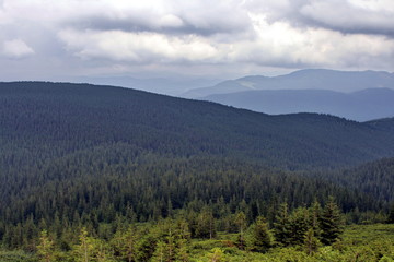 Clouds and fog over Carpathian mountains