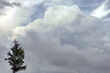 natural background of white curve clouds