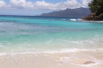 food halloween beach animals gourmet wedding