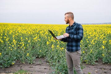 Young agronomist holds laptop in rape field. Agribusiness concept. agricultural engineer standing in a rape field with a laptop in summer