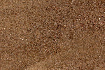 wet sand on the seashore texture