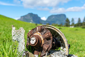 Close-up shot of remnants of the old Consolidated PBY Catalina plane that crashed on Lord Howe...