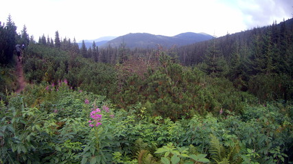 Clouds and fog over Carpathian mountains