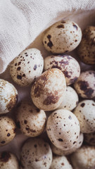 Fototapeta premium Quail eggs on the linen cloth. Top view