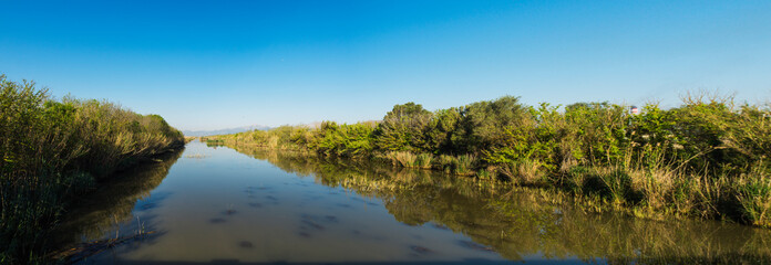 Albufera Mallorca