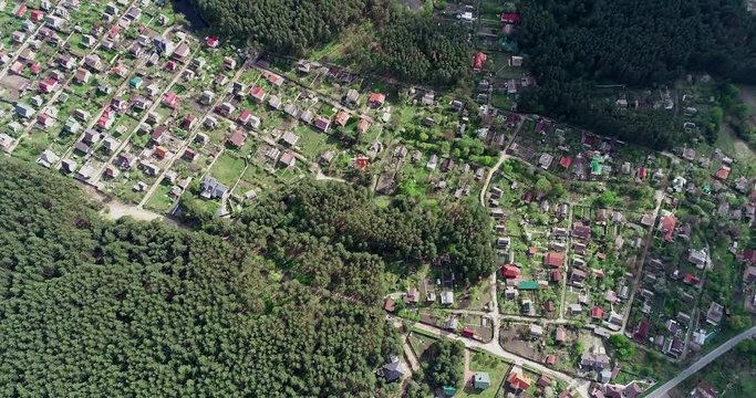 Aerial view of the pines from a bird's flight. Flying over the pine forest and suburb village
