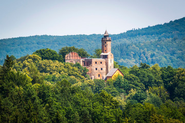 Fototapeta na wymiar Grodno Castle in Zagorze Slaskie
