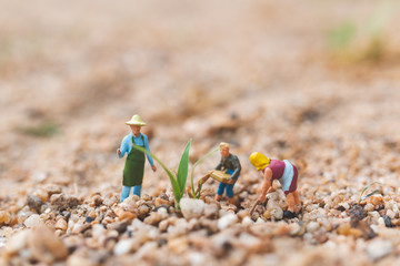 Miniature people : Farmer working plot in the desert with copy space for placement your text,  Agriculture concept  