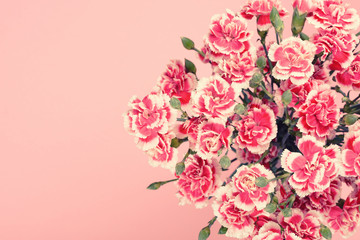 Bouquet of beautiful carnation flowers in pastel pink colors with copy-space.