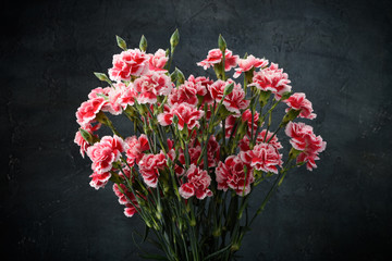 Carnation flowers bouquet over dark moody art background