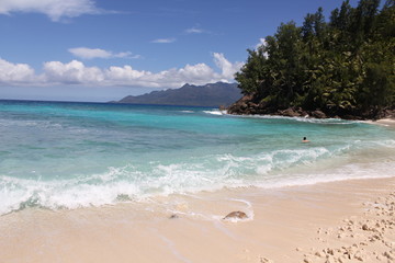 food halloween beach animals gourmet wedding