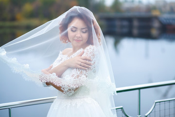 beautiful bride in a wedding dress, a gentle touch of hands, covered with a veil