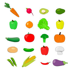 Fototapeta premium Set of vegetables: carrot, radish, avocado, bulgarian pepper, onion, salad, zucchini, tomato, broccoli, pumpkin, potato, cucumber, champignon, pea, corn, chili and eggplant - Vector