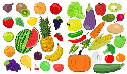 Set of fruits and vegetables - Vector