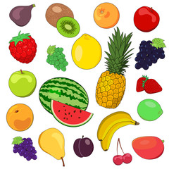 Set of isolated vector fruits . Design elements for grocery store
