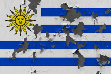 Fototapeta premium Close up grungy, damaged and weathered Uruguay flag on wall peeling off paint to see inside surface.