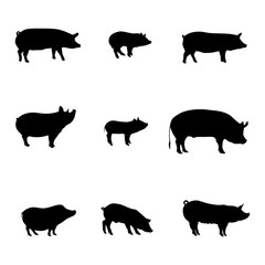 Silhouettes of Pigs. Meat shop. Vector illustration