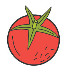 Doodle design of tomato icon.