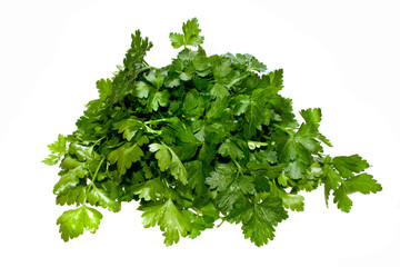 parsley isolated on white background