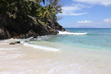 food halloween beach animals gourmet wedding