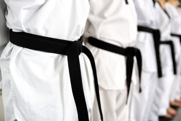 Close up of lined up black belts © didesign