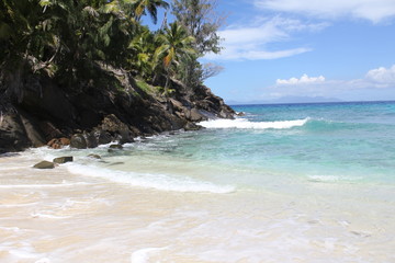 food halloween beach animals gourmet wedding