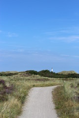 Obraz premium Danish landscape