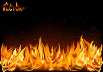 Realistic Fire Flames on Black Background - Detailed Illustration for Your Graphic Projects, Vector