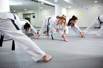 Martial art taekwondo combat fighters stretching and warming up