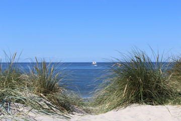 The danish North Sea