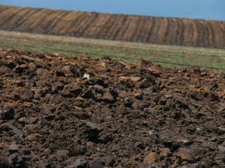 plowed field in spring