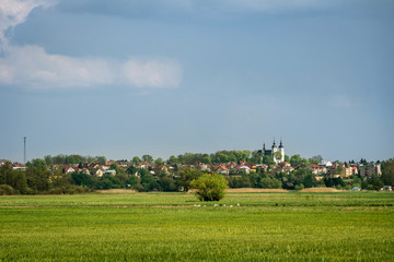 landscape with green field, blue sky and  Goniadz city in the background.