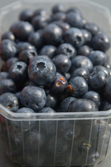 Blueberry in plastic transparent container box, isolated on grey background.