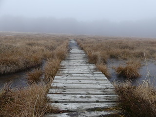 Obraz premium Le brouillard tombe sur les contrées enchantés de l'aubrac. Novembre 2018