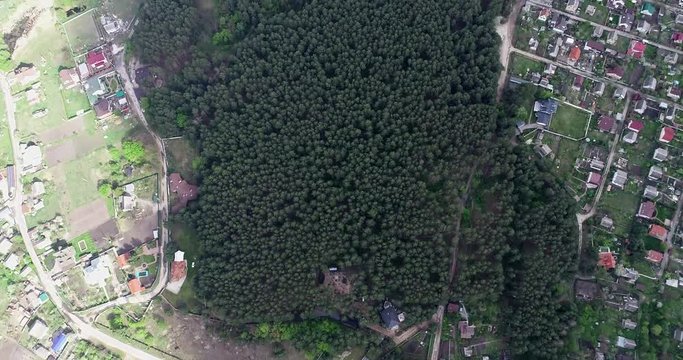 Aerial view of the pines from a bird's flight. Flying over the pine forest and suburb village