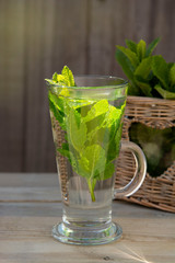Summer fresh mint tea. Glass cup of green tea with mint leaves wooden background. Natural daylight.
