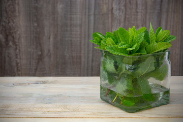 Fresh peppermint leaves banner. Summer drinks ingredient, cocktail. Garden eco mint leaves. Rustic style.