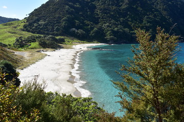View of white sand and clear sea of Smugglers Bay from Bushby Head near Whangarei on sunny day.
