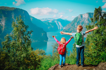 happy little boy and girl travel in Norway