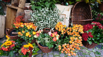 Fototapeta na wymiar Flowers in the market